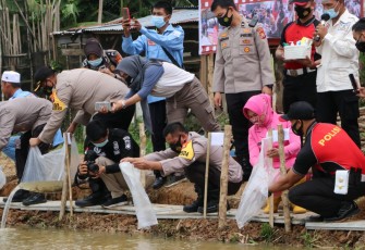 Kapolda Bengkulu Irjen Pol Drs Teguh Sarwono MSi Tebar 100.000 Bibit Ikan Lele