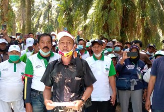 Himpunan Kerukunan Tani Indonesia (HKTI) Kab, Seluma