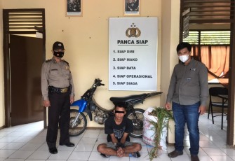 Terduga Pelaku Diamankan 