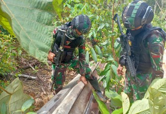 Personel Pos Gunung Sepan Badak menemukan sekaligus mengamankan puluhan batang kayu yang diduga kuat hasil pembalakan liar di hutan lindung. Tepatnya berada di wilayah