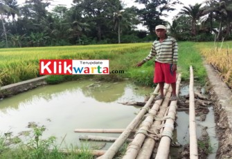 Petani Keluhkan Akses Sentral Produksi Area Persawahan Air Putih Lukap