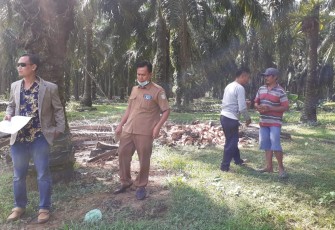 Ketua Komisi Satu Dewan Perwakilan Rakyat Daerah Kabupaten Seluma Samsul Aswajar SSos Sidak ke lokasi lahan X-HGU PT Jenggalu Permai