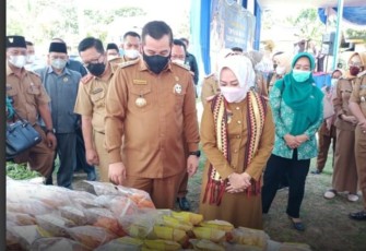 Lomba Desa Tingkat Provinsi Lampung Diadakan di Desa Cipadang
