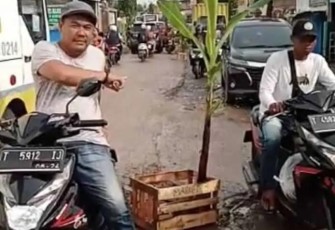 Jalan Rusak Berat di Kecamatan Jatiluhur Purwakarta Ditanami Pohon Pisang oleh Warga