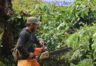 Badai disertai Hujan, BPBD Imbau Warga Jauhi Pohon dan Bangunan Berpotensi Roboh