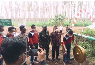Perhutani Divisi Regional Jawa Tengah bersama Pemerintah Kabupaten Kendal melakukan groundbreaking penanaman 50.9 juta bibit pohon di Petak 21 RPH Darupono PKPH Boja, Kabupaten Kendal, Selasa (9/11/2021)