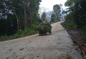 Impian Jalan Cor Sudah Bisa Dinikmati Warga Desa Tulungrejo