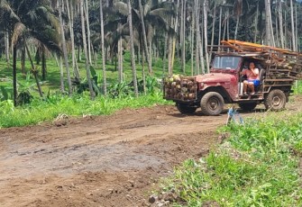 Sebuah mobil milik warga kelurahan komersot melintasi rintisan jalan pertanian