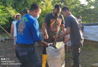Petugas Damkar Karanganyar saat mengevakuasi ular piton dari dalam kandang ayam milik Kusmanto. (Foto : Istimewa/Damkar Karanganyar)