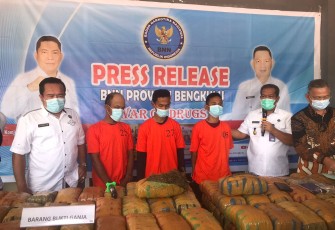 Tangkapan Terbesar, BNNP Bengkulu Amankan Truk dari Sumbar Berisi 143 Kg Ganja