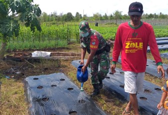 Kodim Palangka Raya Aplikasikan Pupuk Cair Lestari 102