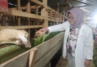 Anggota Komisi D Fraksi PDI Perjuangan DPRD Kabupaten Karanganyar, Endang Muryani, saat meninjau farm atau peternakan kambing di Desa Jurug, Kecamatan Jumapolo, Kabupaten Karanganyar pada Sabtu (9/1/2022) malam.