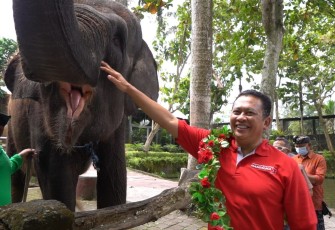 Bamsoet saat berkunjung ke Wisata Bakas Levi Rafting Elephant Tour di Klungkung Bali