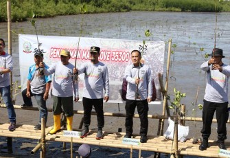 Tanam Ribuan Pohon Mangrove Serentak di Wilayah Sulsel