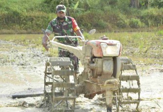Babinsa Muara Kaman Geruduk Persawahan di Desa Cipari Makmur