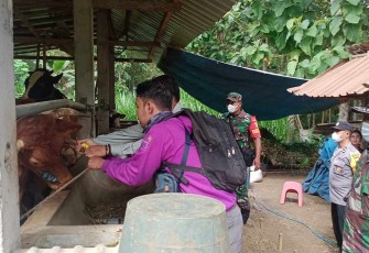 Pemeriksaan hewan ternak warga binaan