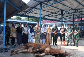 Penyembelihan Hewan Qurban di Koharmatau Bandung