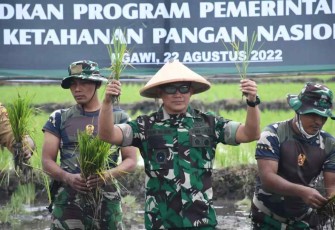 Danrem 081/DSJ Kolonel Inf Deni Rejeki saat tanam padi di Ngawi