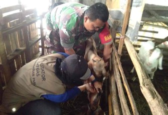 Vaksinasi PMK ternak warga binaan