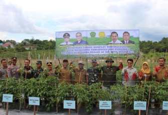 Wamentan RI saat mengunjungi kebun Kopka Gampang