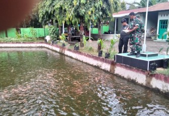 Budidaya ikan Danramil 11/Bky
