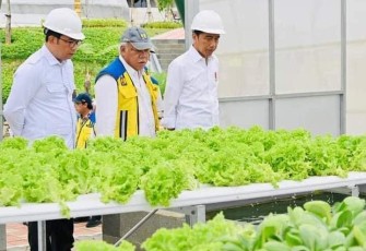 Potensi agrowisata bendungan Sukamahi Kabupaten Bogor 
