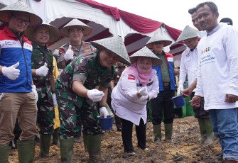 Sinergi Dukung Ketahan Pangan Nasional