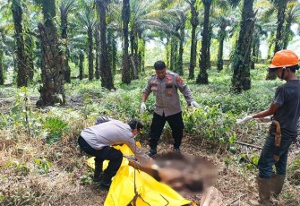 Jasad Pria Tanpa Indentitas saat Ditemukan di Perkebunan Sawit Cigudeg