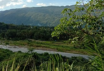 Sungai Aek Siraisan tempat biasa diadakan Tradisi Mamasu Danon. (Sumber: Dok. Pribadi)