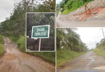 Kondisi Jalan Desa Kuala Langi, Bengkulu Utara. Foto (FB: Eprilya Purnama)