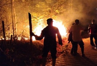 Tiga Pilar Desa Karangsoko dan Warga saat Padamkan Api Bersama Tim Damkar