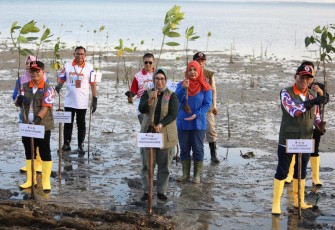 Tanam Mangrove 