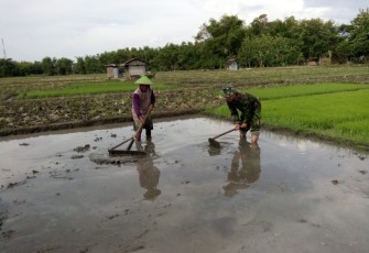 Babinsa Bantu Penyimpanan Lahan