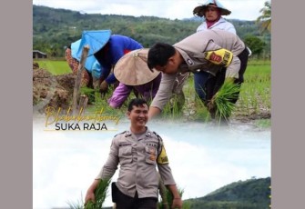 Bhabinkamtibmas Desa Sukaraja Lebong saat Tanam Padi besama Warga 