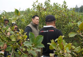Petani Apel Tulungrejo saat Curhat ke AHY Soal Pupuk Mahal