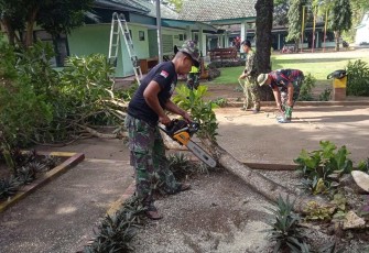 Pemotongan pohon di markas Kodim 0801/Pacitan 