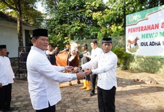 Panglima TNI Kurban Sapi Seberat 1,44 Ton