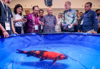MenkopUKM Teten Masduki saat meninjau stand ikan Koi dalam event Nusatic 2023 di Tangerang, Banten, Minggu (16/7)