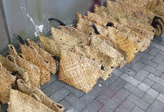  Penyelundupan 44 Ayam Ilegal 