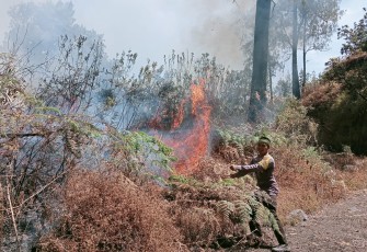 Karhutla Gunung Rinjani