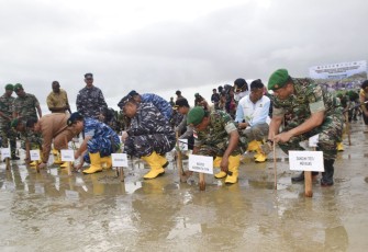 Danlantamal XI Brigjen TNI (Mar) Gatot Mardiyono saat tanam mangrove 