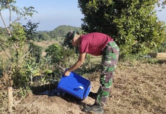 Merawat tanaman saat pelaksanaan TMMD ke 117 Kodim 0803, Kamis (20/7)