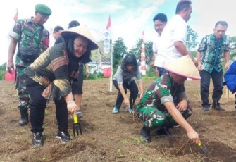 Dandim 1310/Bitung saat menanam bibit sereh wangi