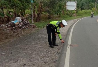 Personel Lantas Polsek Batang Toru saat melakukan cek dan olah TKP di lokasi kejadian.