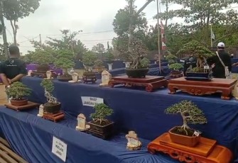 Pameran dan edukasi bonsai di agro wisata Jolong Pati 