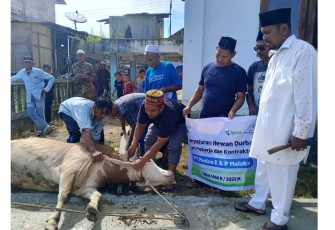 Medco E&P Malaka Serahkan Puluhan Hewan Kurban di Desa Sekitar Area Operasi 