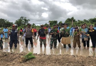 Dansatgas Yonif 125/Smb Pimpin Kegiatan Penanaman Padi Perdana di Kabupaten Mappi