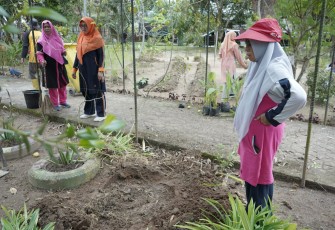 TP PKK Kabupaten Asahan Revitalisasi Taman Toga Rambate Rata Raya