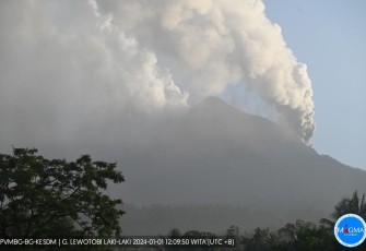 Gunungapi Lewotobi Laki-Laki di Flores Timur, NTT, mengeluarkan abu vulkanik berwarna putih-kelabu saat erupsi pada Senin (1/1). FOTO: PVMBG
