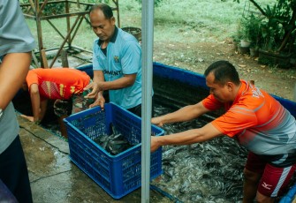 Satuan Pemeliharaan (Sathar) 64 Depo Pemeliharaan (Depohar 60) telah menunjukkan komitmennya dengan turut serta dalam kegiatan budidaya lele